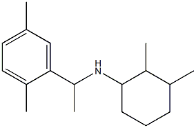 N-[1-(2,5-dimethylphenyl)ethyl]-2,3-dimethylcyclohexan-1-amine 结构式