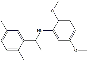 N-[1-(2,5-dimethylphenyl)ethyl]-2,5-dimethoxyaniline 结构式