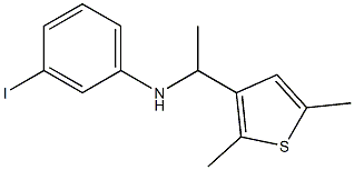 N-[1-(2,5-dimethylthiophen-3-yl)ethyl]-3-iodoaniline 结构式