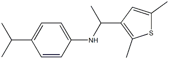 N-[1-(2,5-dimethylthiophen-3-yl)ethyl]-4-(propan-2-yl)aniline 结构式