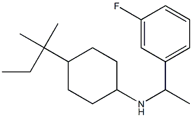 N-[1-(3-fluorophenyl)ethyl]-4-(2-methylbutan-2-yl)cyclohexan-1-amine 结构式