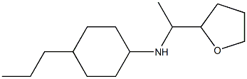 N-[1-(oxolan-2-yl)ethyl]-4-propylcyclohexan-1-amine 结构式