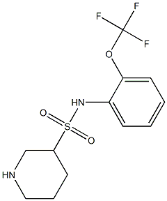 N-[2-(trifluoromethoxy)phenyl]piperidine-3-sulfonamide 结构式