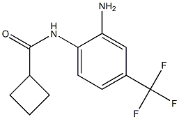 N-[2-amino-4-(trifluoromethyl)phenyl]cyclobutanecarboxamide 结构式