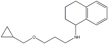 N-[3-(cyclopropylmethoxy)propyl]-1,2,3,4-tetrahydronaphthalen-1-amine 结构式