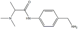 N-[4-(aminomethyl)phenyl]-2-(dimethylamino)propanamide 结构式