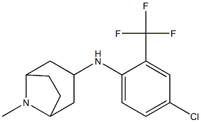 N-[4-chloro-2-(trifluoromethyl)phenyl]-8-methyl-8-azabicyclo[3.2.1]octan-3-amine 结构式