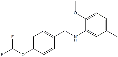 N-{[4-(difluoromethoxy)phenyl]methyl}-2-methoxy-5-methylaniline 结构式