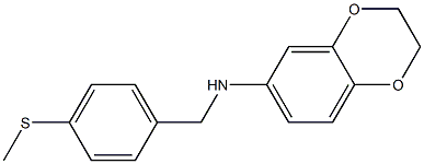 N-{[4-(methylsulfanyl)phenyl]methyl}-2,3-dihydro-1,4-benzodioxin-6-amine 结构式