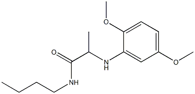 N-butyl-2-[(2,5-dimethoxyphenyl)amino]propanamide 结构式