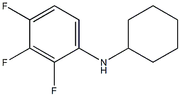 N-cyclohexyl-2,3,4-trifluoroaniline 结构式