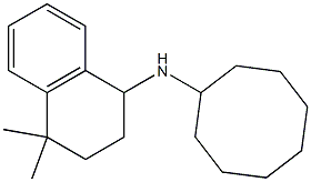 N-cyclooctyl-4,4-dimethyl-1,2,3,4-tetrahydronaphthalen-1-amine 结构式