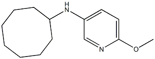 N-cyclooctyl-6-methoxypyridin-3-amine 结构式