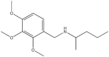 pentan-2-yl[(2,3,4-trimethoxyphenyl)methyl]amine 结构式