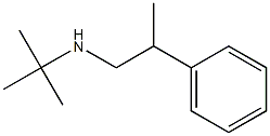 tert-butyl(2-phenylpropyl)amine 结构式