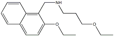N-[(2-ethoxy-1-naphthyl)methyl]-N-(3-ethoxypropyl)amine 结构式