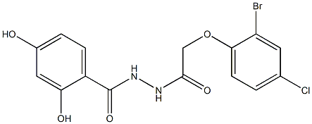 N'-[(2-bromo-4-chlorophenoxy)acetyl]-2,4-dihydroxybenzohydrazide 结构式