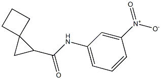 N-{3-nitrophenyl}spiro[2.3]hexane-1-carboxamide 结构式