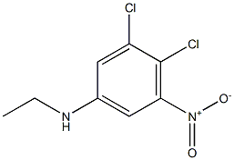 N-Ethyl-3,4-dichloro-5-nitroaniline 结构式