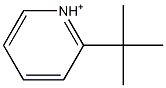 2-tert-Butylpyridinium 结构式