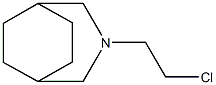 3-(2-Chloroethyl)-3-azabicyclo[3.2.2]nonane 结构式