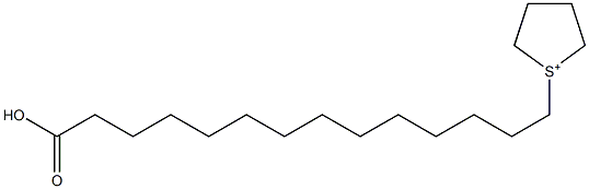 1-(13-Carboxytridecyl)thiolan-1-ium 结构式