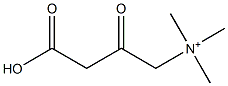 3-Carboxy-N,N,N-trimethyl-2-oxo-1-propanaminium 结构式