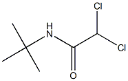 2,2-Dichloro-N-tert-butylacetamide 结构式