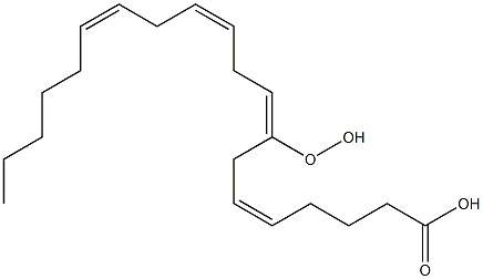 (5Z,8E,11Z,14Z)-8-Hydroperoxy-5,8,11,14-icosatetraenoic acid 结构式