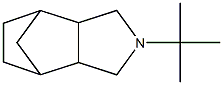 Octahydro-2-(tert-butyl)-4,7-methano-2H-isoindole 结构式