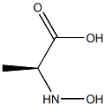 N-Hydroxy-L-alanine 结构式