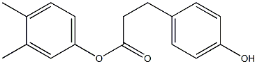 3-(4-Hydroxyphenyl)propanoic acid 3,4-dimethylphenyl ester 结构式