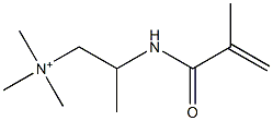 N,N,N-Trimethyl-2-[(2-methyl-1-oxo-2-propenyl)amino]-1-propanaminium 结构式