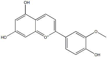 5,7-Dihydroxy-2-(3-methoxy-4-hydroxyphenyl)-1-benzopyrylium 结构式