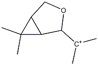 2-(6,6-Dimethyl-3-oxabicyclo[3.1.0]hexan-4-yl)propan-2-ylium 结构式