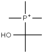 (1-Hydroxy-1-methylethyl)trimethylphosphonium 结构式