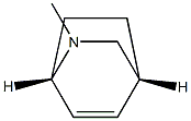 (1R,4S)-8-Methyl-8-azabicyclo[2.2.2]oct-2-ene 结构式