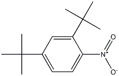 1,3-Di-tert-butyl-4-nitrobenzene 结构式