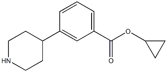 3-Piperidin-4-yl-benzoic acid cyclopropyl ester 结构式