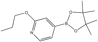 4-(4,4,5,5-tetramethyl-1,3,2-dioxaborolan-2-yl)-2-propoxypyridine 结构式