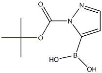 1-Boc-Pyrazole-5-boronic acid 结构式