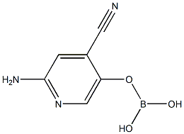 2-氨基-4氰基-5-吡啶硼酸酯 结构式