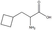 3-环丁基-DL-丙氨酸 结构式