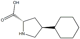反-4-环已基-L-脯氨酸 结构式