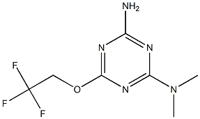 2-氨基-4-二甲胺基-6-三氟乙氧基-1,3,5-三嗪 结构式