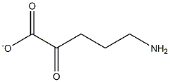 5-amino-2-oxo-pentanoate 结构式