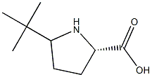 5-tert-butylproline 结构式