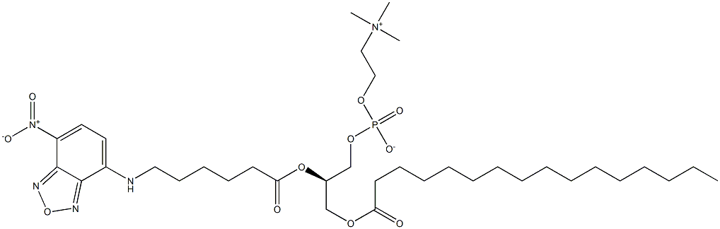 1-palmitoyl-2-(N-(7-nitrobenz-2-oxa-1,3-diazol-4-yl)aminohexanoyl)-sn-glycero-3-phosphocholine 结构式