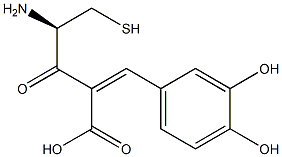 cysteinylcaffeic acid 结构式