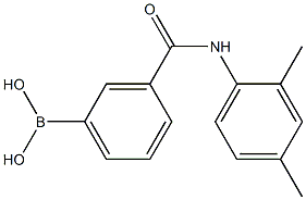 3-[(2,4-Dimethylphenyl)carbamoyl]benzeneboronicacid98% 结构式